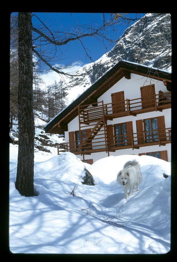 La Trinite Monboso Hotel Gressoney-La-Trinite Exterior photo